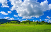 Grass Mountain - Amazing