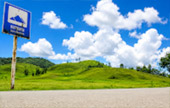 Grass Mountain - Amazing