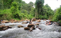 Tubing - Play with nature Half Day