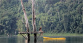 Khaosok National Jungle Conservation 4 Days 3 Nights