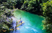 Khaosok National Jungle Conservation 4 Days 3 Nights