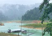 Bucket List: Khao Sok - Cheow Lan Dam