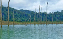 Bucket List: Khao Sok - Cheow Lan Dam