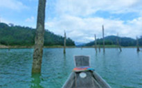 Bucket List: Khao Sok - Cheow Lan Dam