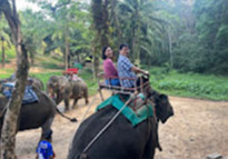 Bucket List: Khao Sok - Cheow Lan Dam