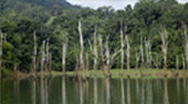 Bucket List: Khao Sok - Cheow Lan Dam