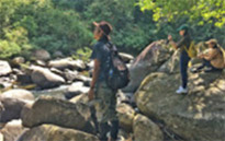 Forest Breath On Khao Sok and in Cheowlan Lake