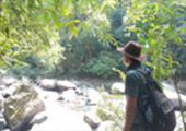 Forest Breath On Khao Sok and in Cheowlan Lake