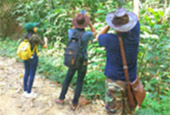 Forest Breath On Khao Sok and in Cheowlan Lake