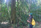 Forest Breath On Khao Sok and in Cheowlan Lake