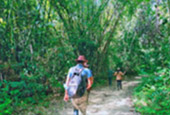 Forest Breath On Khao Sok and in Cheowlan Lake