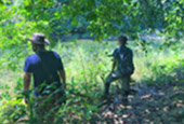 Forest Breath On Khao Sok and in Cheowlan Lake