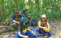 Forest Breath On Khao Sok and in Cheowlan Lake