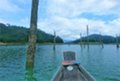 Forest Breath On Khao Sok and in Cheowlan Lake