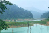 Forest Breath On Khao Sok and in Cheowlan Lake