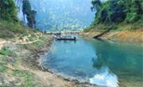 Forest Breath On Khao Sok and in Cheowlan Lake