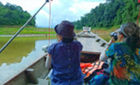 Forest Breath On Khao Sok and in Cheowlan Lake