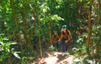 Forest Breath On Khao Sok and in Cheowlan Lake