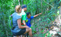 Forest Breath On Khao Sok and in Cheowlan Lake