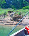 Forest Breath On Khao Sok and in Cheowlan Lake