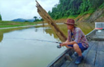 Forest Breath On Khao Sok and in Cheowlan Lake