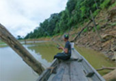 Forest Breath On Khao Sok and in Cheowlan Lake