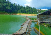 Forest Breath On Khao Sok and in Cheowlan Lake