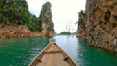 Forest Breath On Khao Sok and in Cheowlan Lake