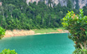 Forest Breath On Khao Sok and in Cheowlan Lake