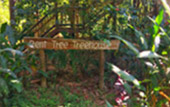 Forest Breath On Khao Sok and in Cheowlan Lake