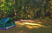 Forest Breath On Khao Sok and in Cheowlan Lake