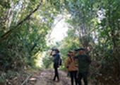 Forest Breath On Khao Sok and in Cheowlan Lake