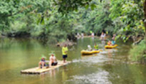 One Day Tour. Khao Sok: Elephant Bathing