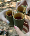 One Day Tour. Khao Sok: Elephant Bathing