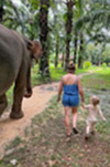 One Day Tour. Khao Sok: Elephant Bathing