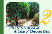 3 Days 2 Nights: Khaosok & Lake of Cheolan Dam