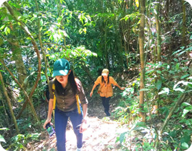 Forest Breath On Khao Sok and in Cheowlan Lake