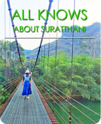 Surrathani Attractions