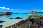 Koh Kham