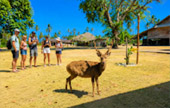 Koh Kradat