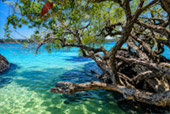 Koh Kham