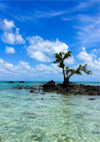 Koh Khai Hua Roh