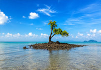 Koh Khai Hua Roh