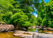 Klong Yaikee Waterfall