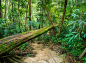 Klong Yaikee Waterfall