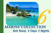 Koh Kood Marine Collection 4 Days 3 Nights
