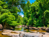 Klong Yaikee Waterfall