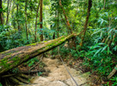 Klong Yaikee Waterfall