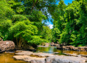 Klong Yai Kee Waterfall