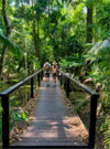 Jungle Trail